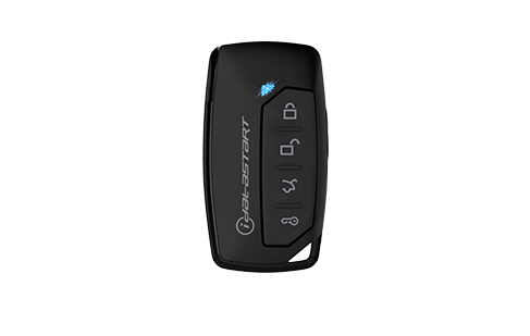 Idatastart one-way remote